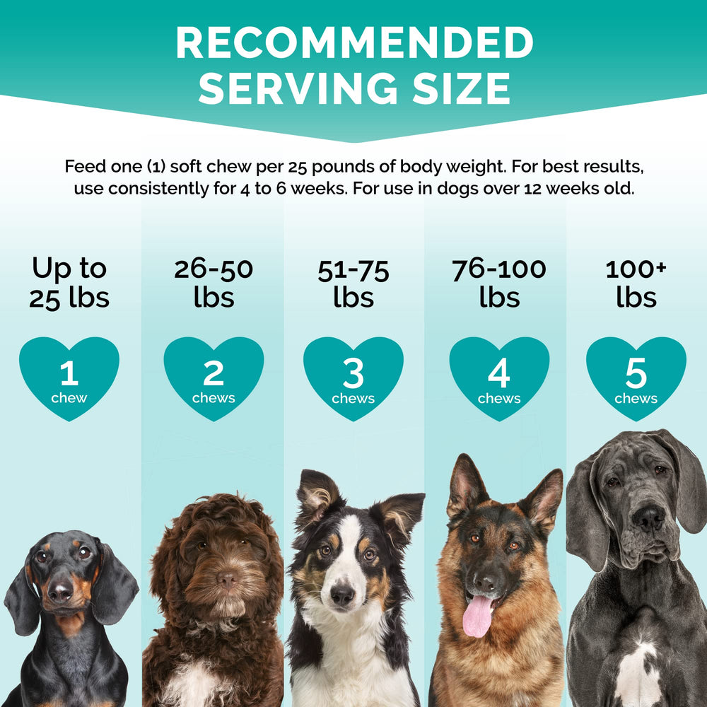 PREMIUM CARE Calming Chews shown with the product package.