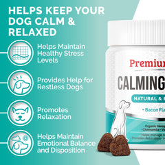 A dog enjoying a PREMIUM CARE Calming Chew.