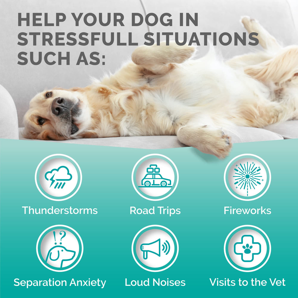 PREMIUM CARE Calming Chews ingredient label shown in close detail.
