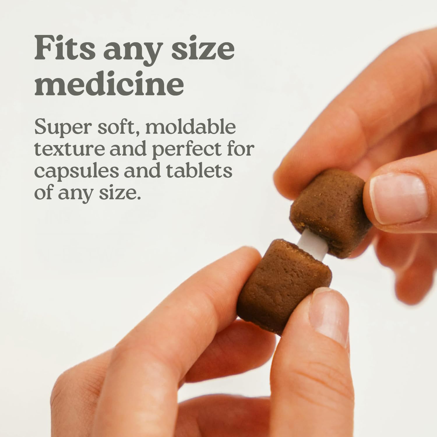 Presidio Pill Buddy Naturals treat presented as a training reward.