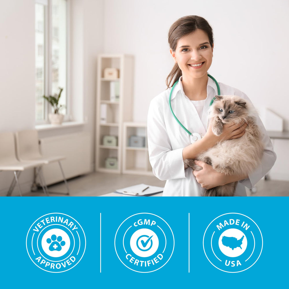 PRN Pharmacal Duralactin Feline supplement shown alongside a cat in a mobility-focused image.