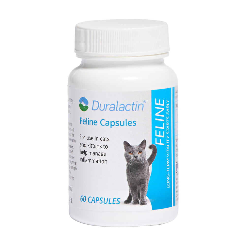 PRN Pharmacal Duralactin Feline joint health supplement shown from the front of its package.
