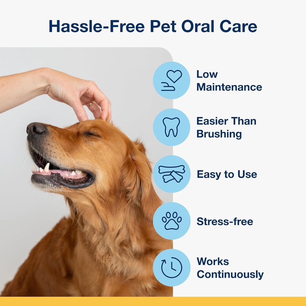 ProDen PlaqueOff Mini Dental Bones as part of a daily dental care routine.