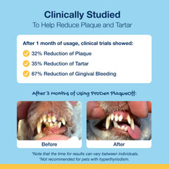 ProDen PlaqueOff Mini Dental Bones shown being chewed by a small dog.