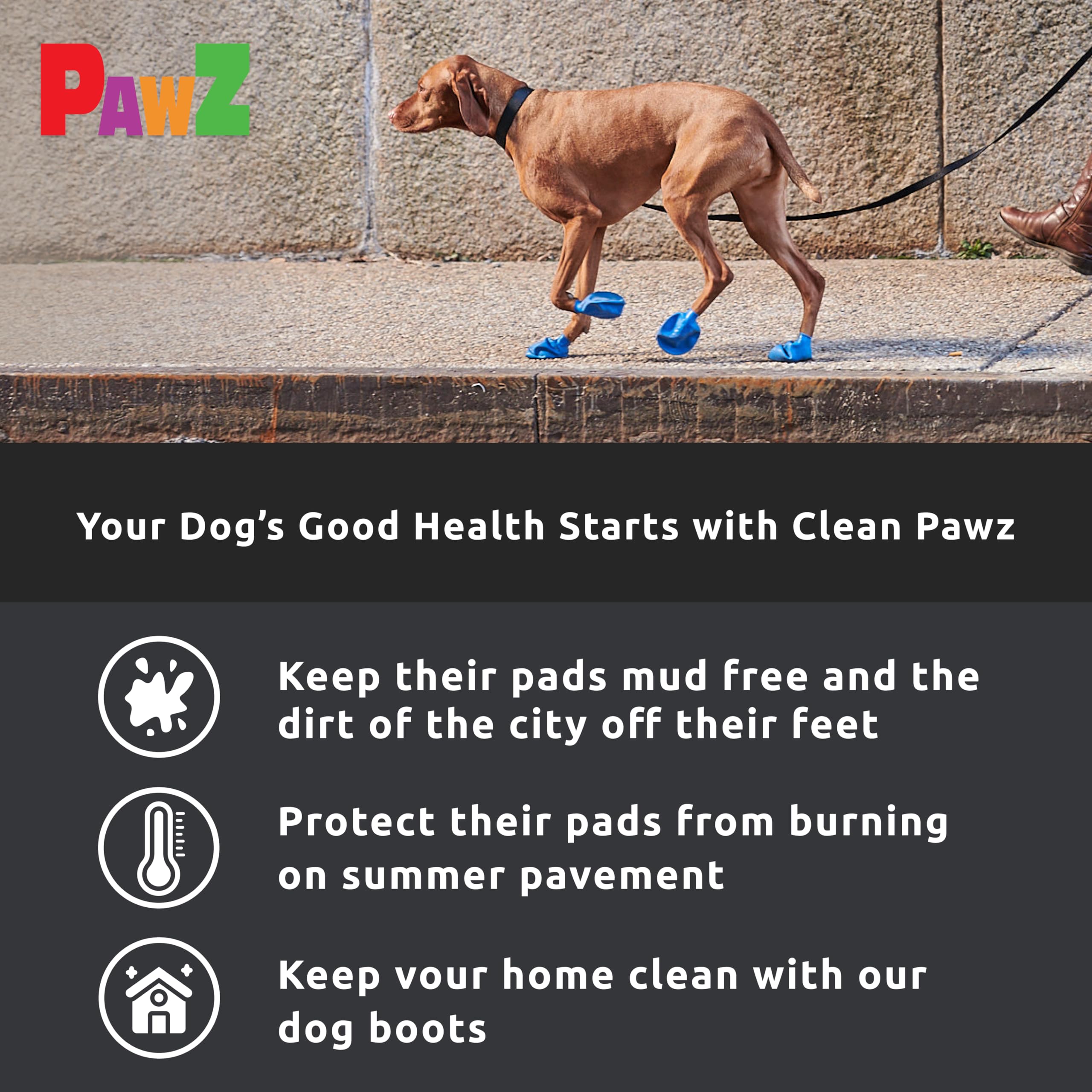 Protex PawZ rubber dog boots worn by a dog outdoors.