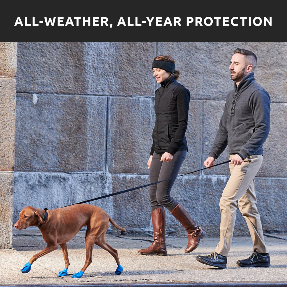 Protex PawZ rubber dog boots shown together as a 12-pack.
