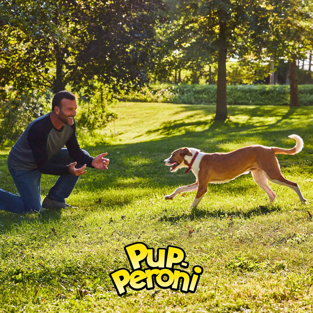 Pup-Peroni Original Bacon Flavor dog treats shown with the ingredient information in focus.