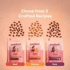 Pupford Beef Training Treats shown as small, one-bite rewards.