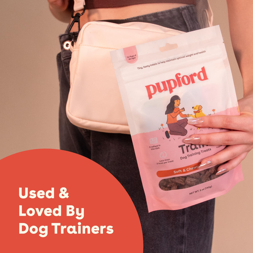 Pupford Beef Training Treats shown as a reward during dog training.
