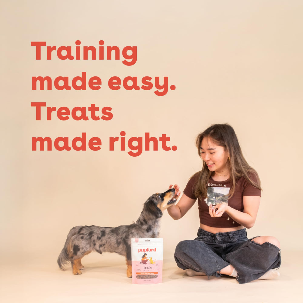 Pupford Beef Training Treats shown as a two-bag set.