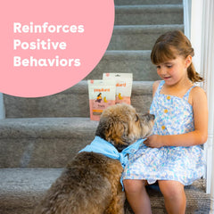 Pupford Soft & Chewy Training Treats offered to a dog during training.