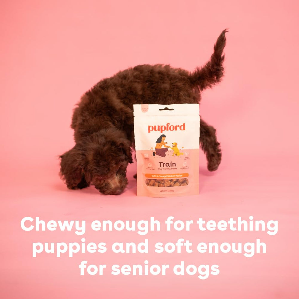 Pupford Soft & Chewy Training Treat shown on its own.