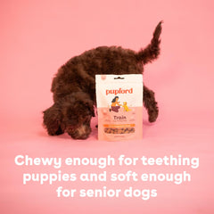 Pupford Soft & Chewy Training Treat shown on its own.