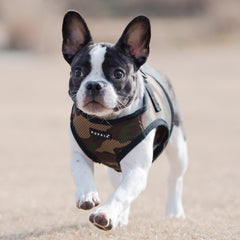 Puppia Soft B Vest CAMO dog harness showing its two D rings.