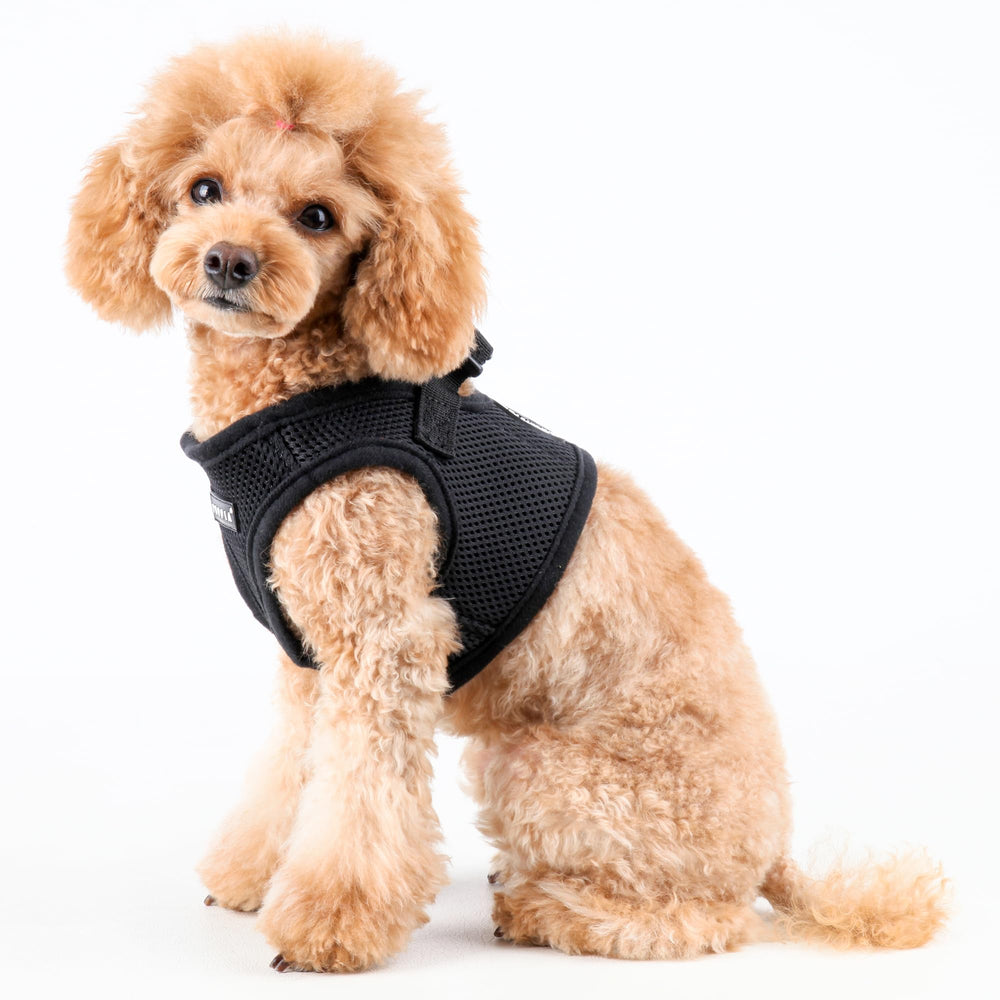 Puppia Soft B Vest Dog Harness shown with its two D-rings.