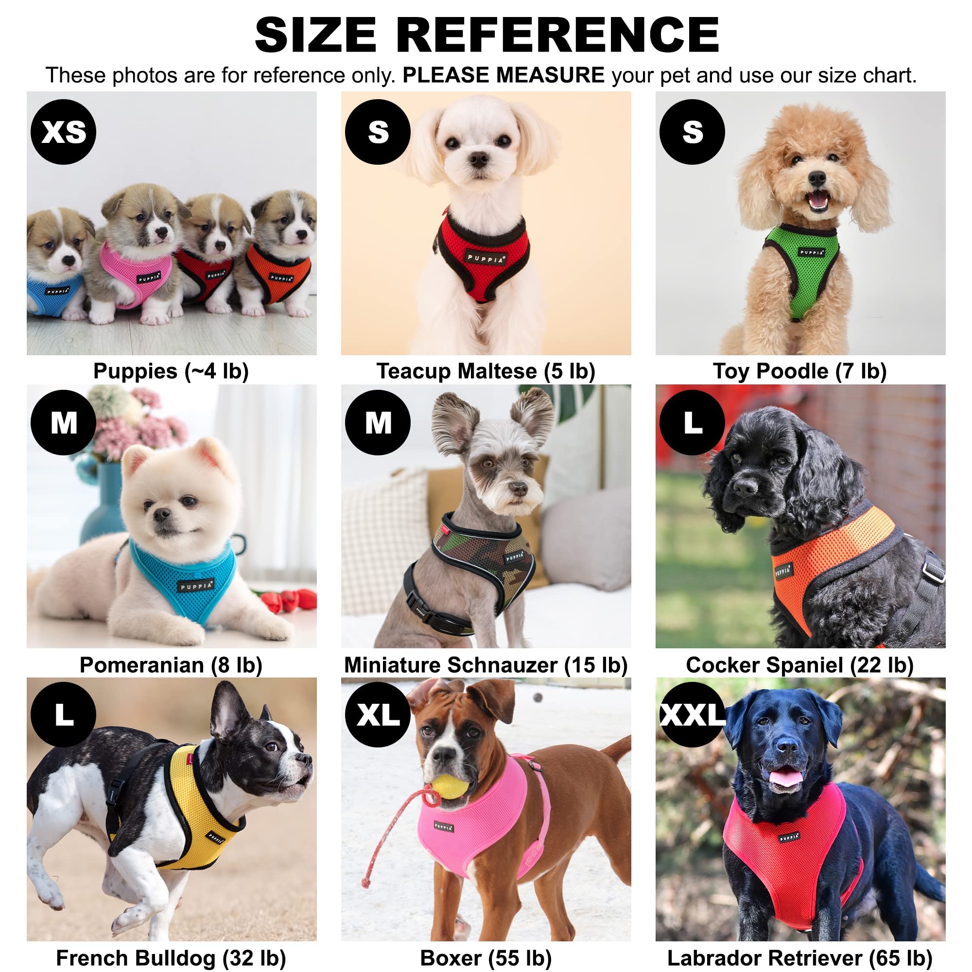 Puppia Soft Dog Harness shown fitted on a dog.