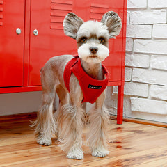 Puppia Soft Harness Vest shown fitted on a dog.
