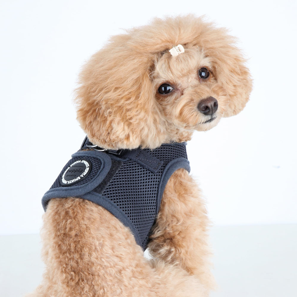 Puppia Soft Vest Harness rear view showing the D-ring for leash attachment.