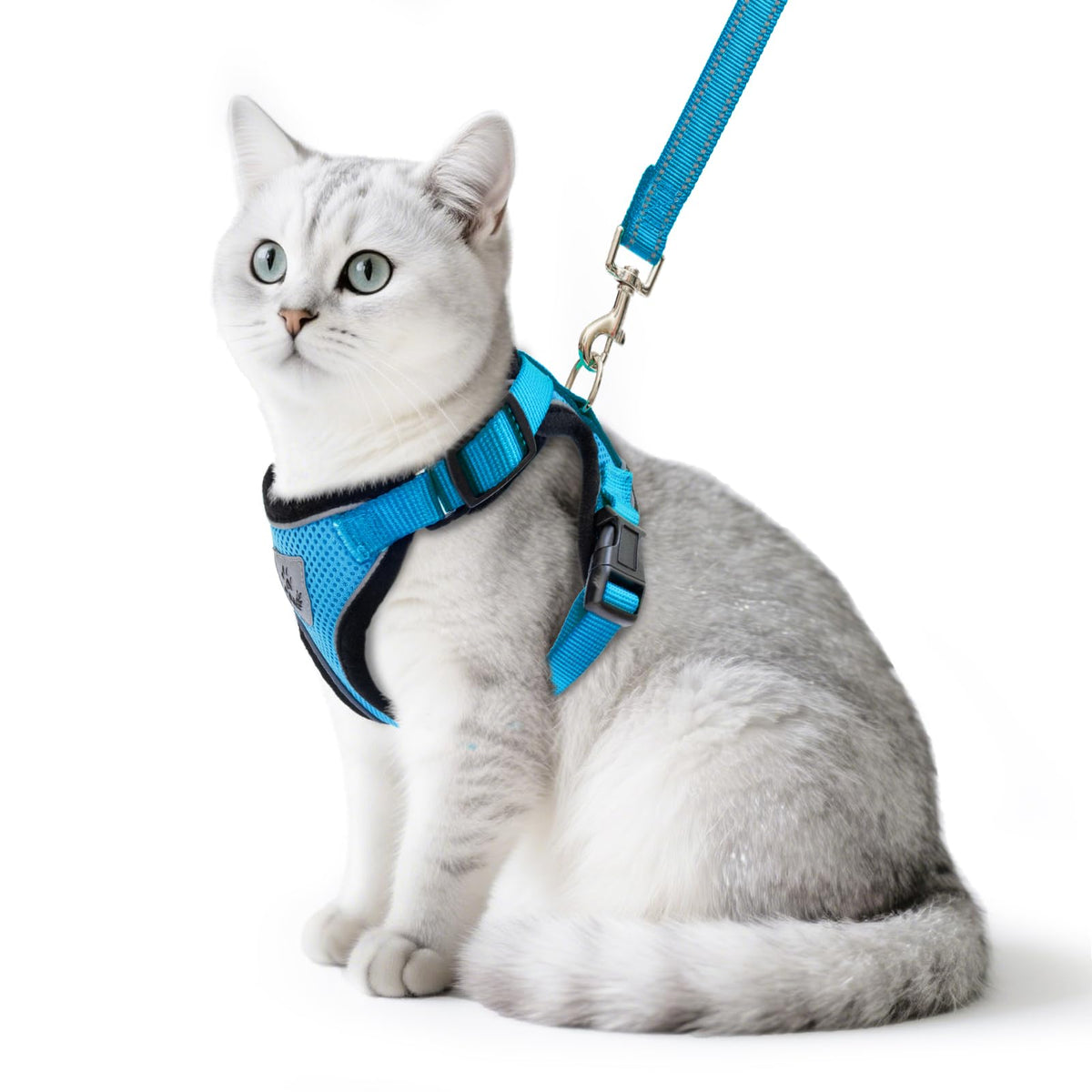 PUPTECK cat harness and leash set shown from the front.