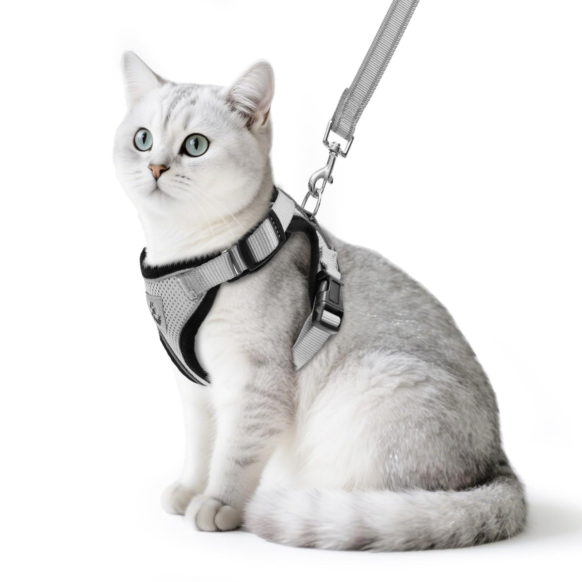 PUPTECK cat harness and leash set shown from the front in grey.