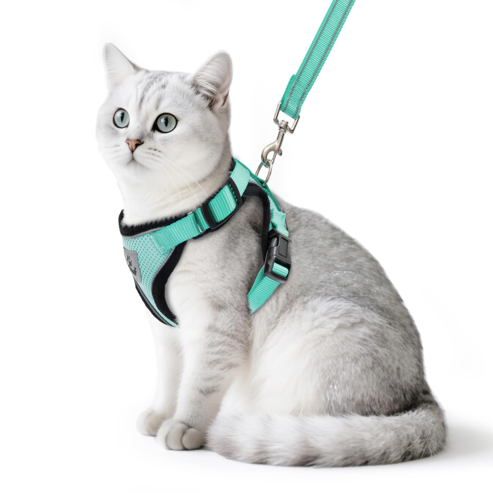 PUPTECK cat harness and leash set shown from the front in aquamarine.