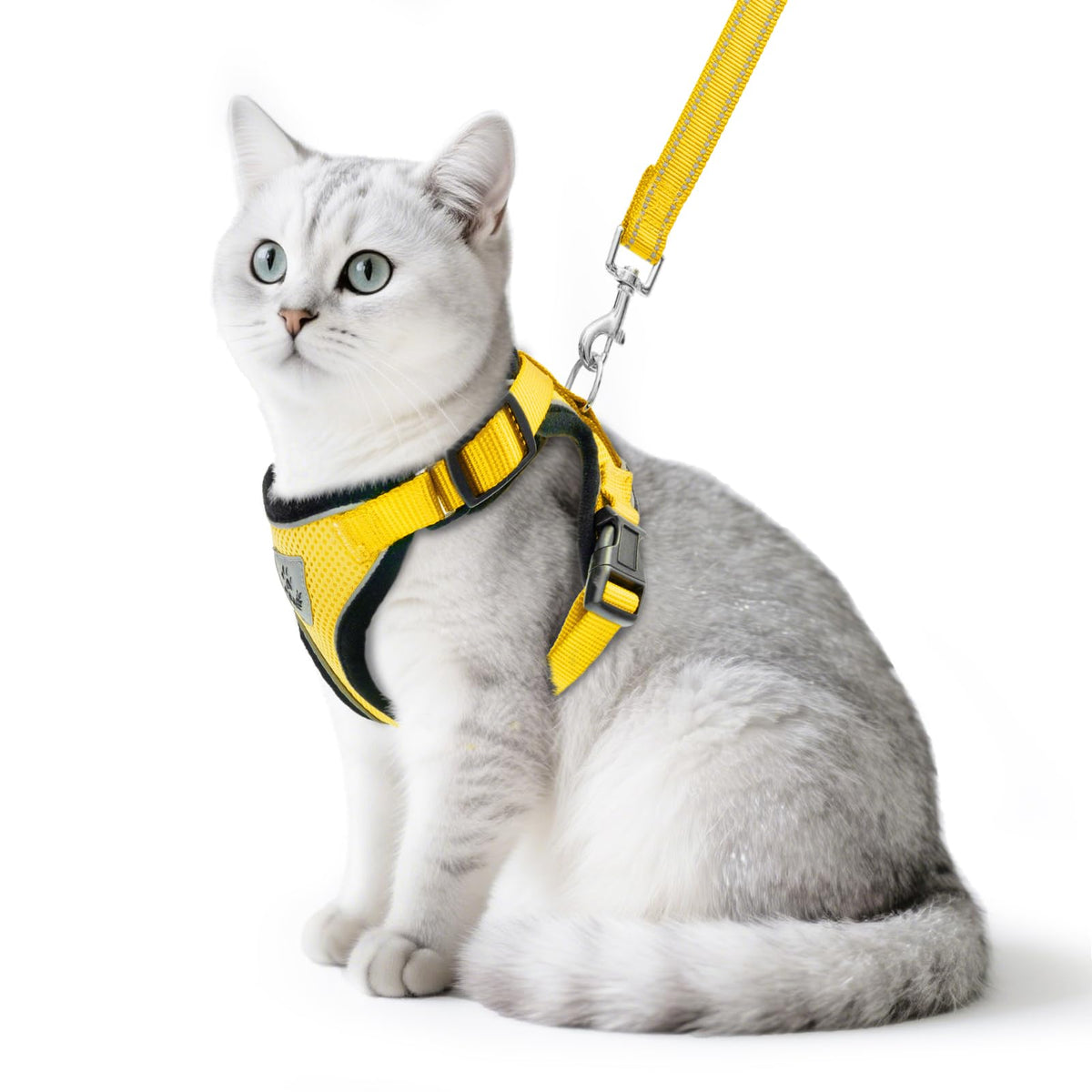 PUPTECK Cat Harness and Leash Set shown together from the front in yellow.