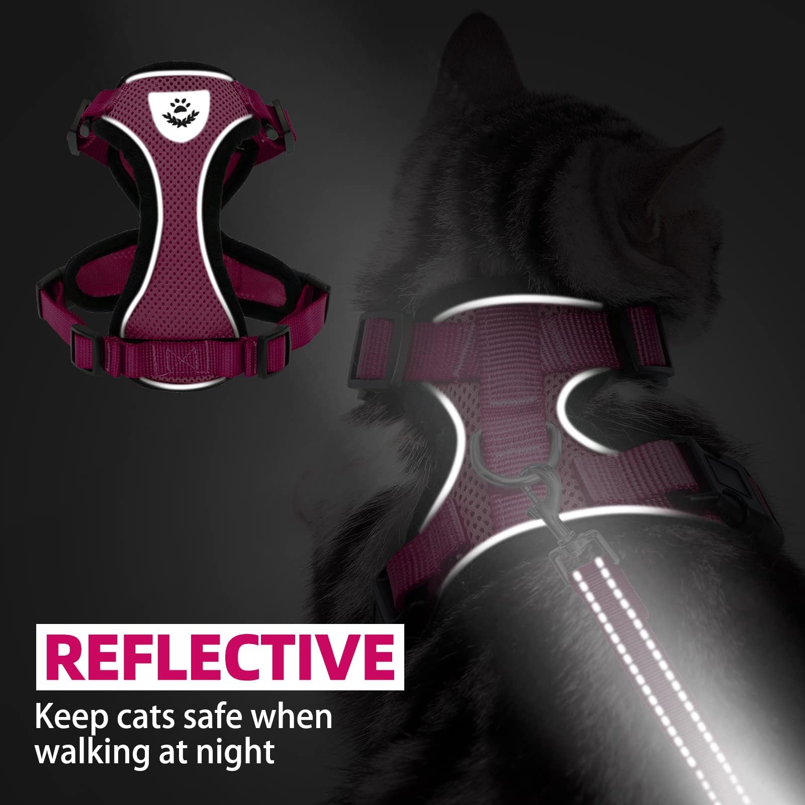 PUPTECK cat harness set showing the harness and matching leash.