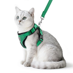 PUPTECK cat harness and leash set shown from the front in dark green.