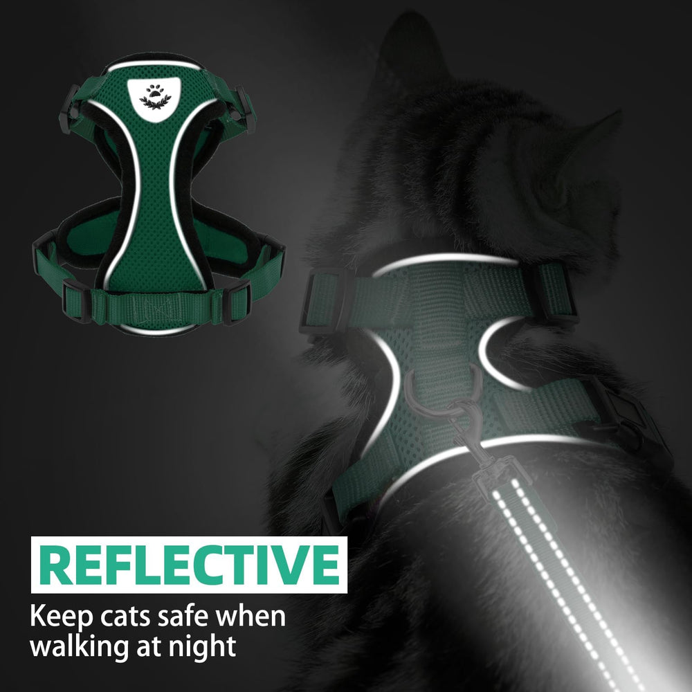 PUPTECK cat harness and leash set with the included leash shown beside the harness.