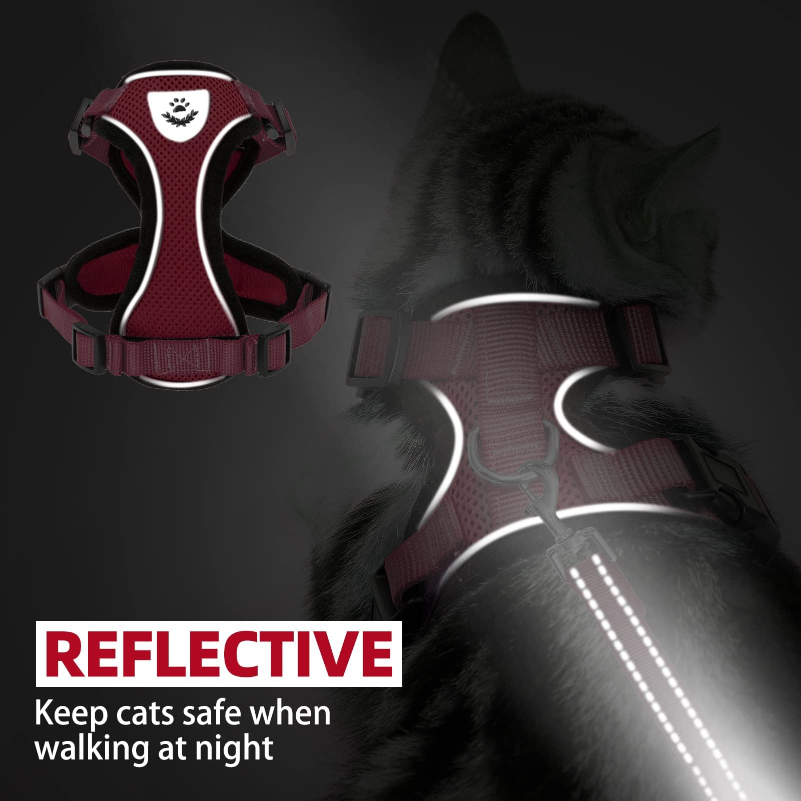 PUPTECK cat harness and long leash presented together as a set.