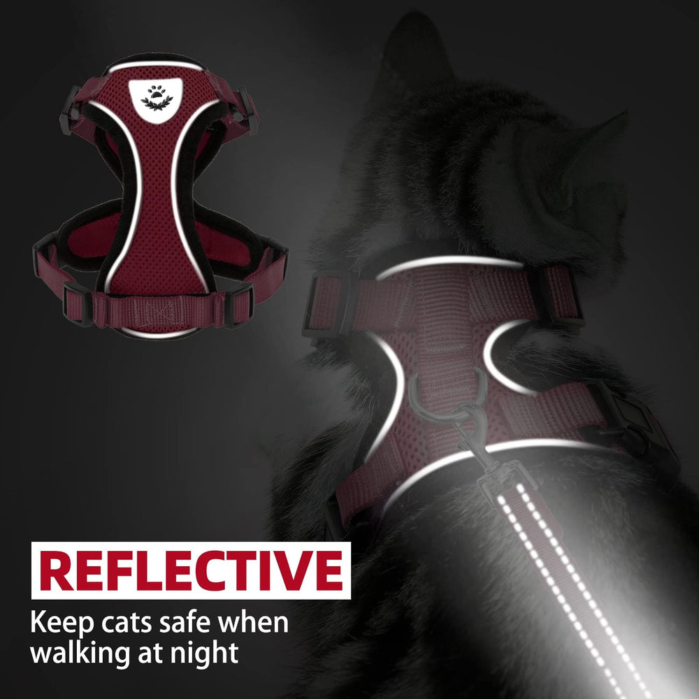 PUPTECK cat harness and long leash presented together as a set.