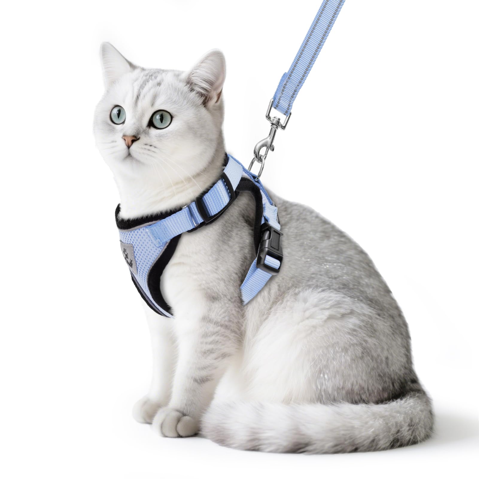 PUPTECK cat harness and leash set shown from the front in sky blue.