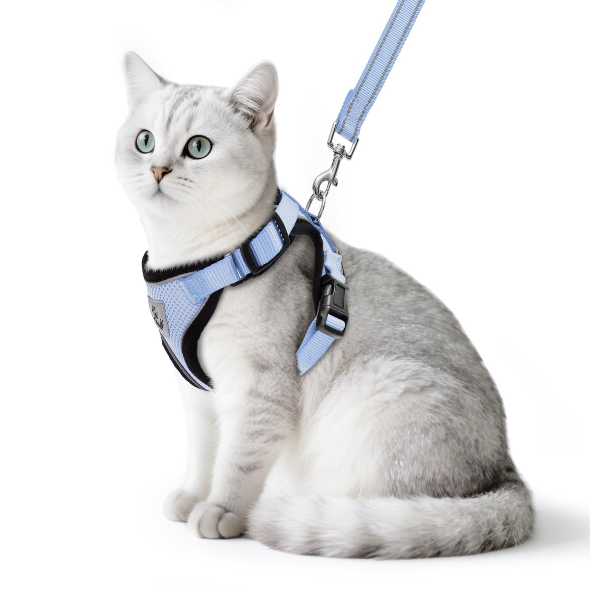 PUPTECK cat harness and leash set shown from the front in sky blue.