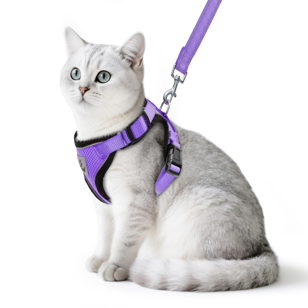 PUPTECK cat harness and leash set shown from the front in purple.