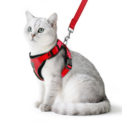 PUPTECK cat harness set shown from the front in red.