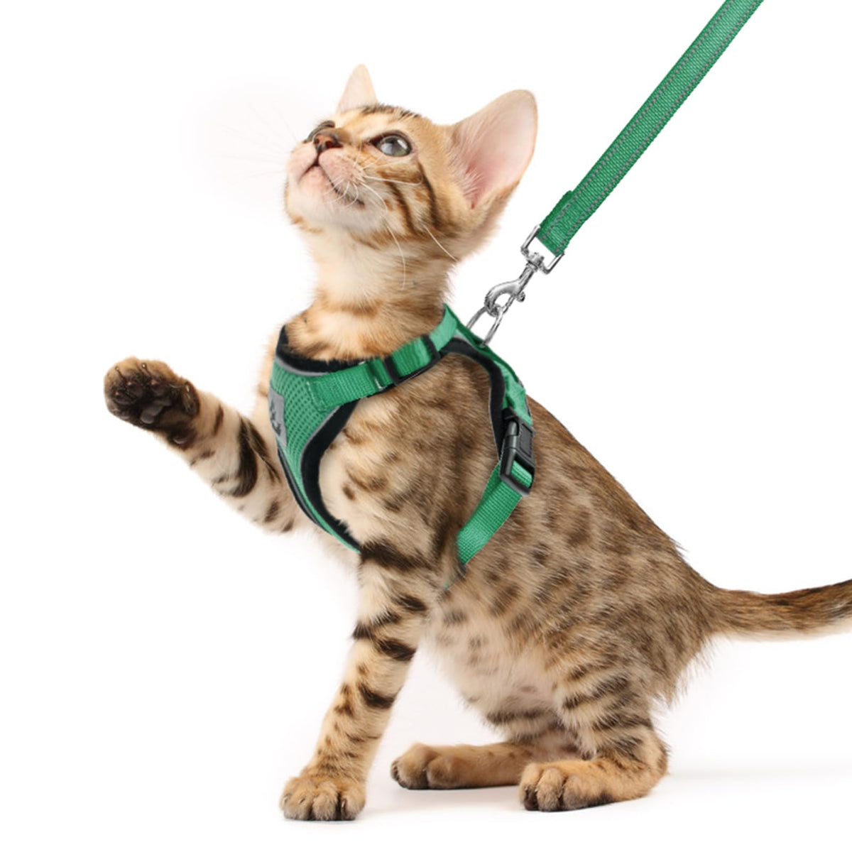 PUPTECK cat harness and leash set shown from the front in dark green.