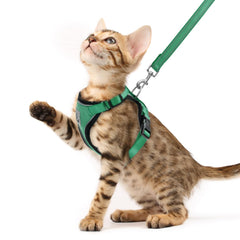 PUPTECK cat harness and leash set shown from the front in dark green.