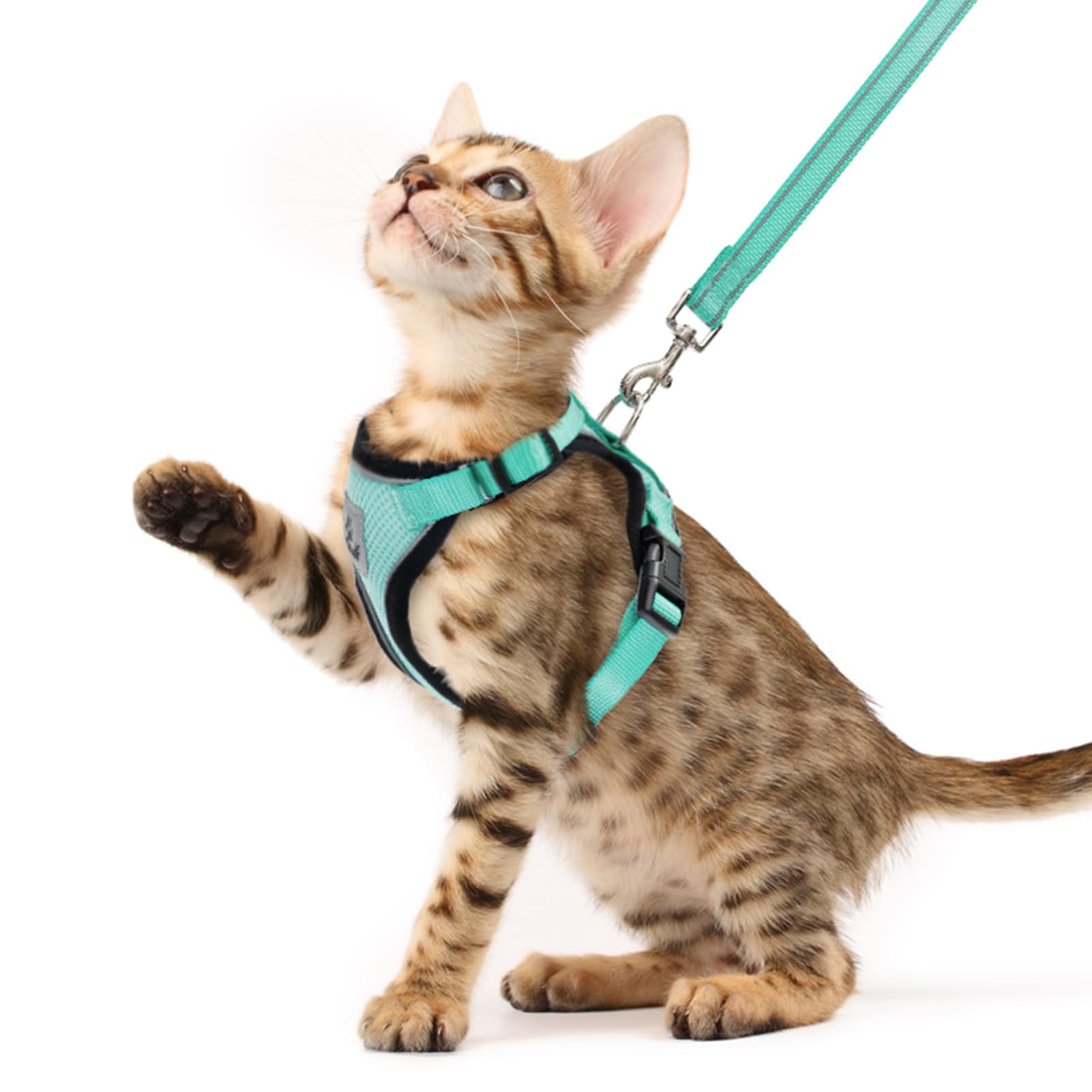PUPTECK cat harness and leash set shown from the front in aquamarine.
