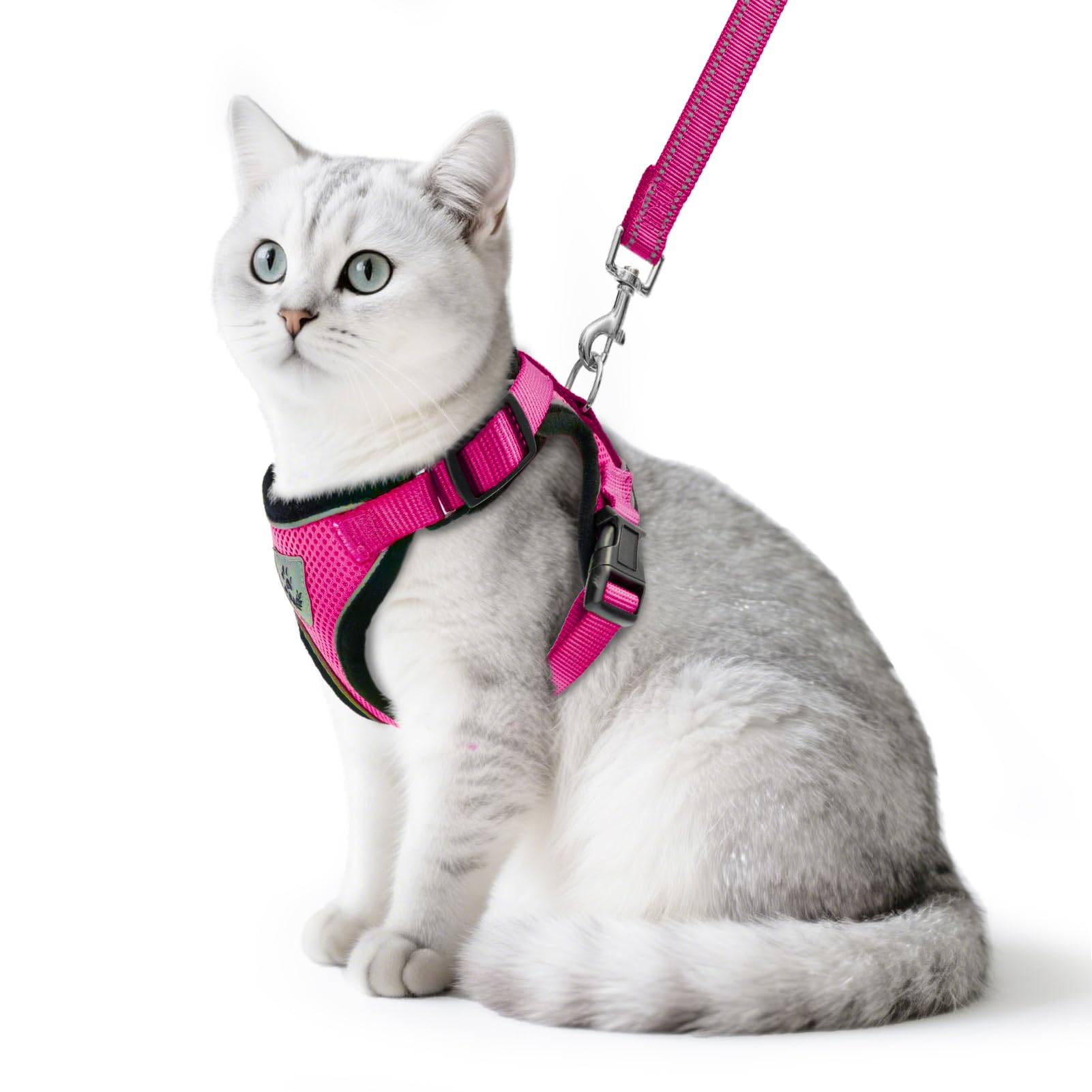 PUPTECK cat harness and leash set shown from the front in deep pink.
