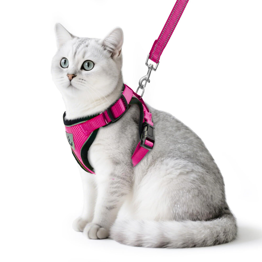PUPTECK cat harness and leash set shown from the front in deep pink.