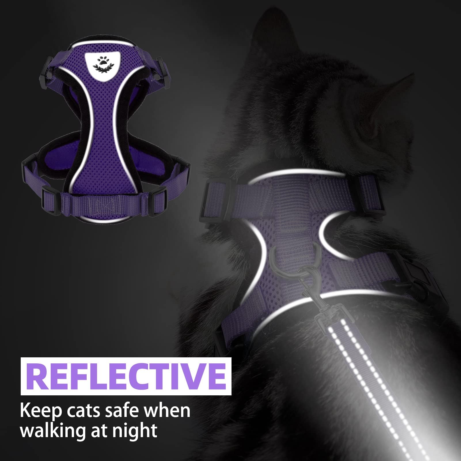 PUPTECK cat harness and leash shown connected at the D-ring.