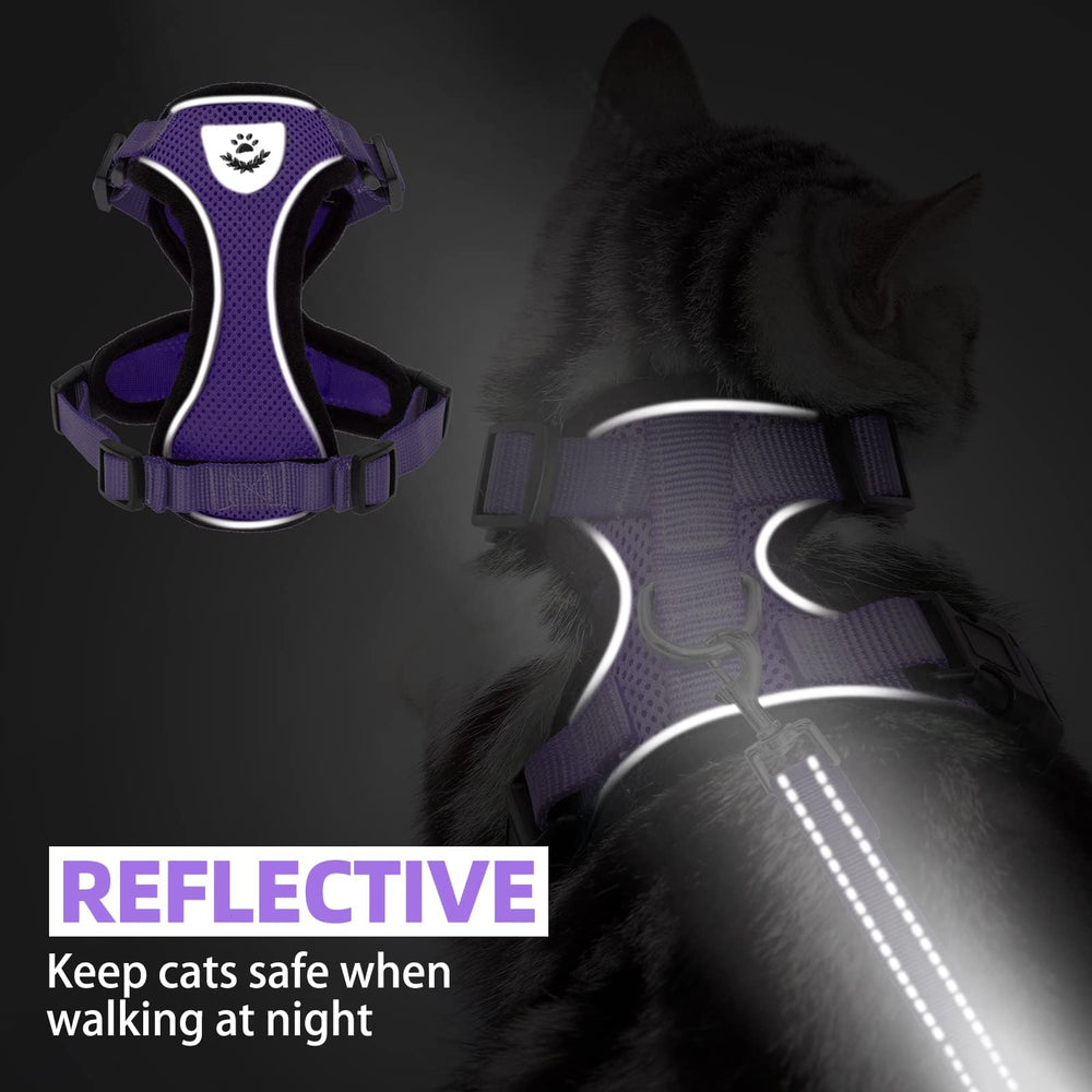 PUPTECK cat harness and leash shown connected at the D-ring.