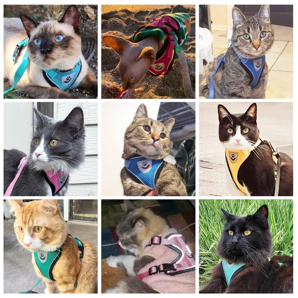 PUPTECK cat harness shown fitted on a cat.