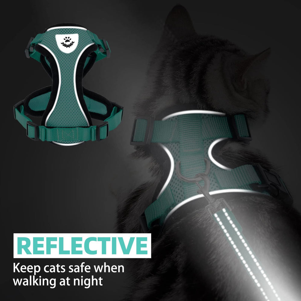 PUPTECK cat harness shown worn by a cat during an outdoor walk.
