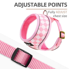 PUPTECK dog harness detail highlighting the polyester air-mesh construction.
