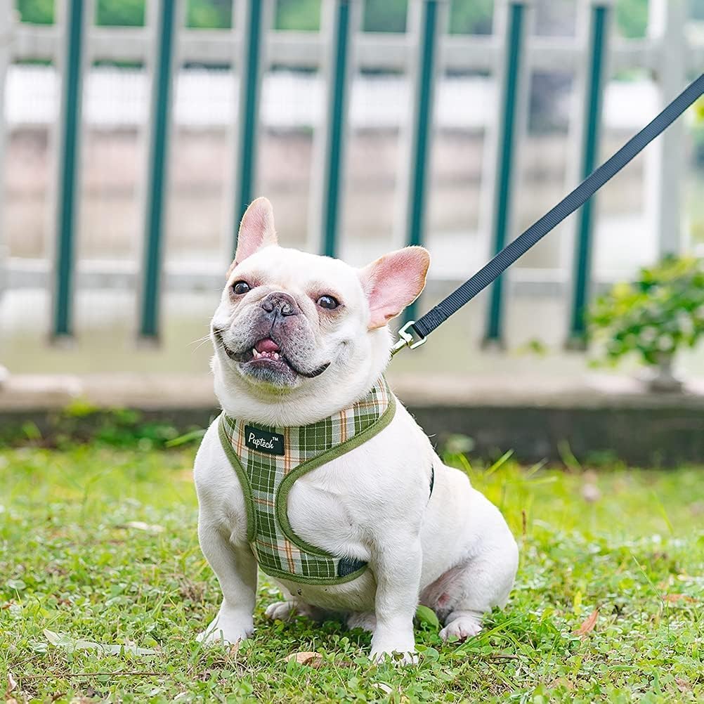 PUPTECK small dog harness and leash set shown from an alternate viewing angle.