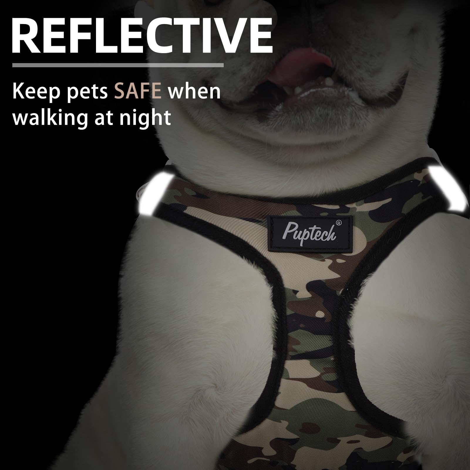 PUPTECK dog harness and leash set showing the buckle and metal D-rings.