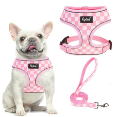 PUPTECK dog harness and leash set shown together from the front.