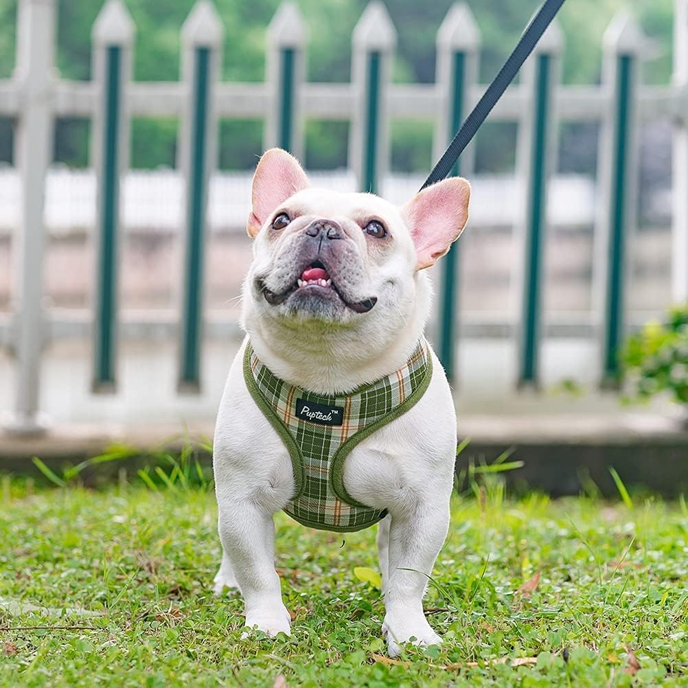 PUPTECK small dog harness and leash set shown being worn by a small dog.