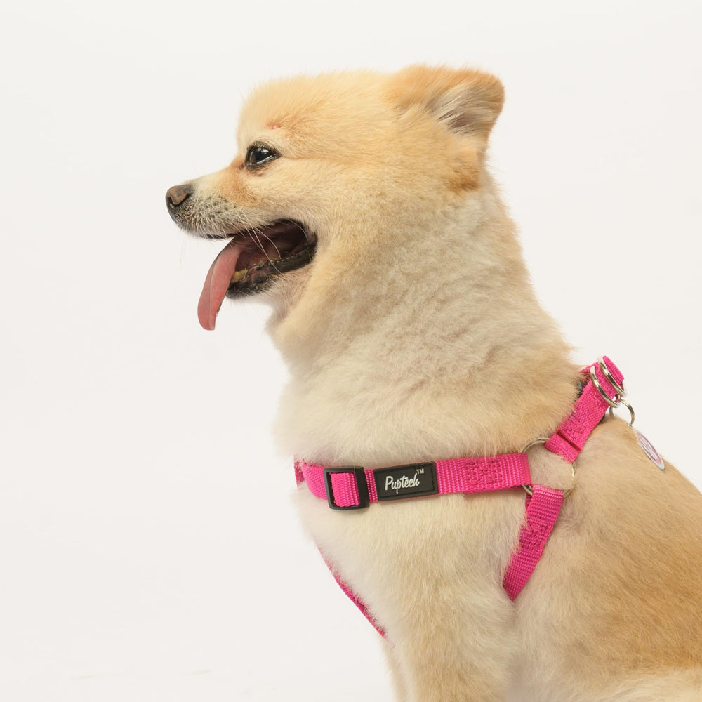 PUPTECK dog harness metal ID tag with a paw pattern on the front.